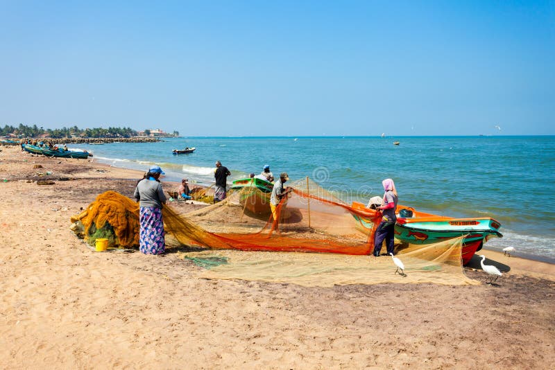 Traditional fishing boats on Negombo beach.